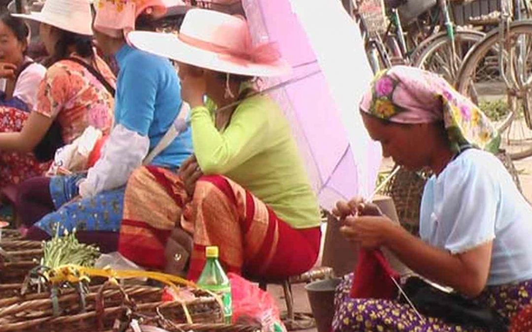 The sacred forests of the Dai