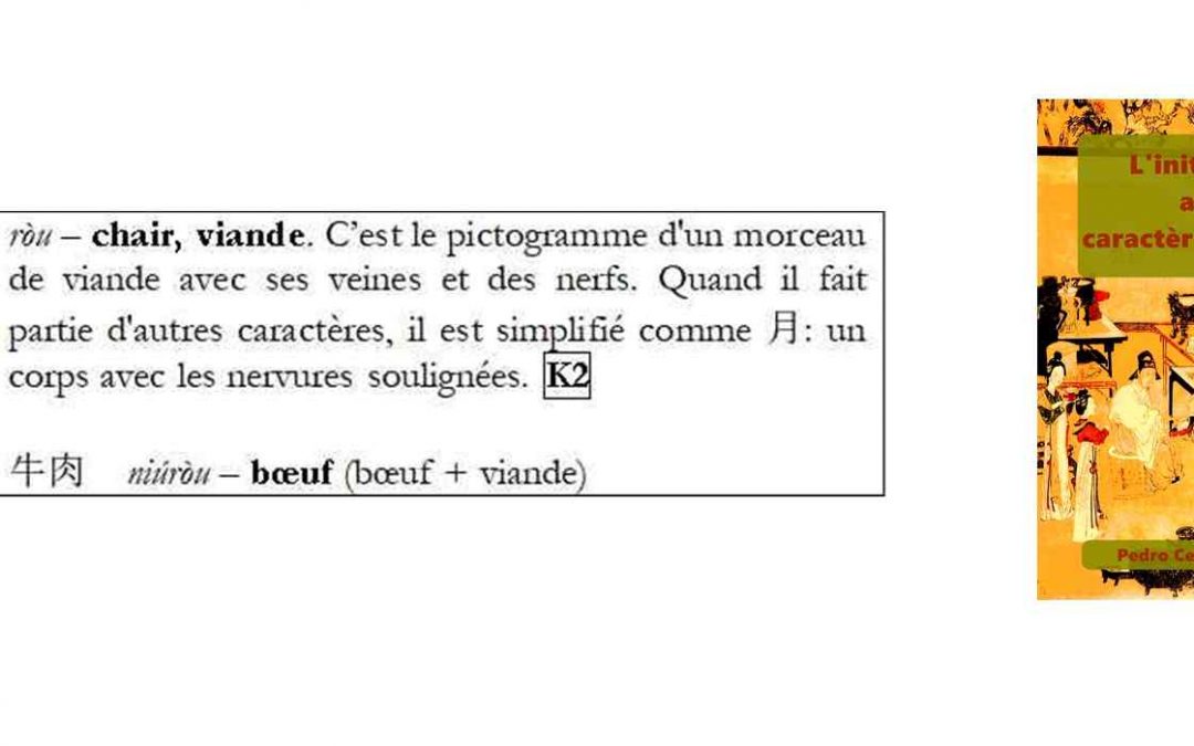 Caractère chinois 肉 ròu – chair