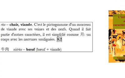 Caractère chinois 肉 ròu – chair