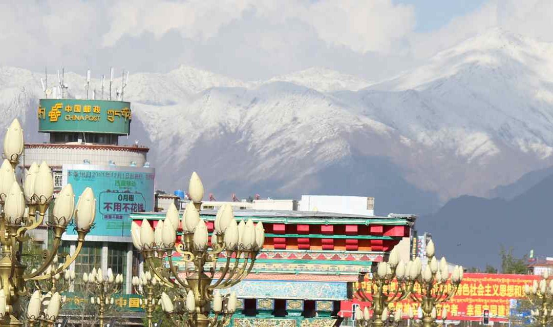 El insoportable mundo de ensueño del chófer Champa