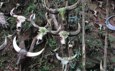 Puliendo y frotando para crear el mundo entre los Wa de China