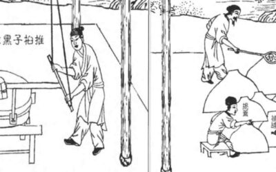 La economía del arado humano en la China del siglo XVII