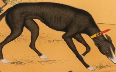 El perro como psicopompo en China