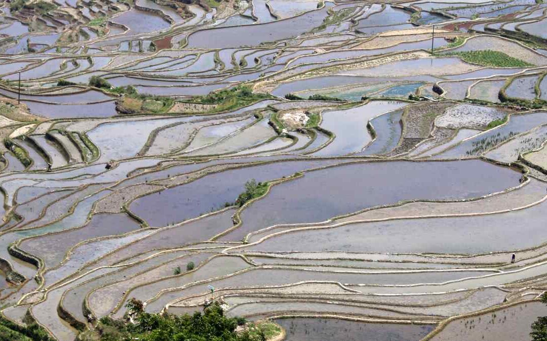 Yuanyang et ses magnifiques rizières en terrasses